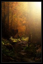 along the way on ramsey trail.jpg